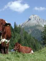 Leitlinien LandForstwirtschaft